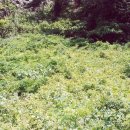 봉천마을 이미지