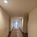 동강 | 강원도 영월 '동강시스타' 숙소후기