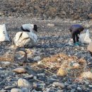 덕적면 면사무소 이미지