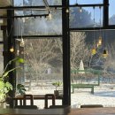 신북터미널 | 춘천 데이트 코스 추천 통창 정원뷰 감성 카페429-1지내리 후기