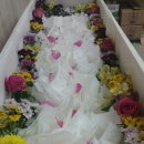 세일장례식장 이미지