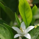 의영농장 이미지