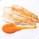 주식회사 하이제스트 이미지