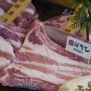 달콩 제주 이미지