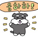 무무마켓