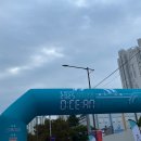 레이크케이크샵 | 낭만사랑행복 부산여행에 마라톤을 살짝 곁들인 - 2025 부산바다마라톤