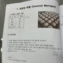 키제스트학원 | [카페디저트 실무반] 새로운 취미 시작! 종로호텔제과학원 카페디저트 실무반 1~3일차 (국비지원)