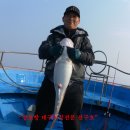 10월17일 자바리님88센티 이미지