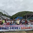 바른자세체형관리