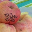 효심 농장 이미지