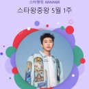 스타면 이미지