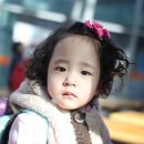 용인대 한얼합기도 수련원 이미지