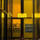 유림노르웨이숲세탁 이미지