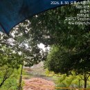 금년들어 순천에 가장 많은 비가 내리고 있습니다. ~~ 이미지