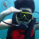 신승여행사 이미지