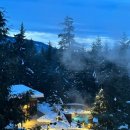 도곡온천관광스파 | 캐나다 휘슬러 스칸디나브 스파 온천 당일치기 힐링 여행 후기 및 뚜벅이 예약 꿀팁 !!