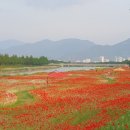 광의사거리 이미지