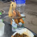 후암쭈꾸미 이미지