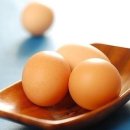 계란 과 콜레스테롤 진실 이미지