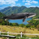 유영목장 이미지