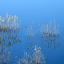 호수의아침 이미지