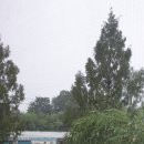 그린파크텔 이미지