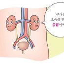 신장치과 네이버블로그