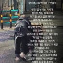 밤거리