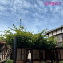 도암마을회관 | [고창] 가볼만한곳 1박 2일 여행 카페 땡스덕 베르베르의 집, 옛도심 조양관 등