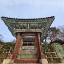 비원 이미지
