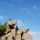 용의꼬리 이미지