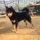 온식구 Daum카페