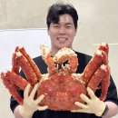 데일리프룻 | 🦀 노량진101 가격, 킹크랩·랍스터 무제한 정말 괜찮을까? 총정리