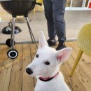 낄낄아놀자 이미지