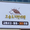 고슴도치한의원 이미지