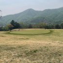 오크밸리 드라이빙레인지 이미지