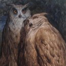 이상을향해 이미지