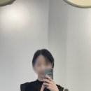 파티또예 이미지