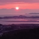 바다향기 이미지