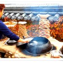 단양삼시세끼 티스토리