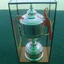 안성시종합운동장 이미지