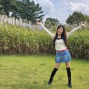 고창고인돌박물관 이미지