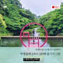 동홍동 자기주도 학습 지원센터 | 서귀포 원도심 올레길 하영올레 2코스 100배 즐기기-1탄