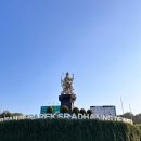 룸비니농장 | 발리자유여행 짐바란 불스커피,후아스파,스타벅스,코코슈퍼마켓,와룽판요가,미쉐