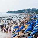 대천해수욕장 이미지