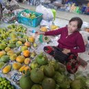 노년심리학 이미지