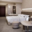 코랄로 바이 조선 이미지