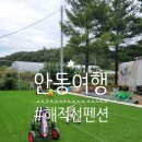 해적선 애견펜션 | [안동 여행/안동 숙소] 안동 애견동반 가능한 펜션 &#34;해적선 펜션&#34; 숙소 후기