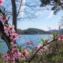 추평호산뜰애마을 이미지