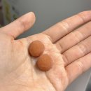 피부와손톱 | 🍓 캐나다에서 사온 찐템! 헤어·피부·손톱까지 챙기는 젤리 영양제 후기